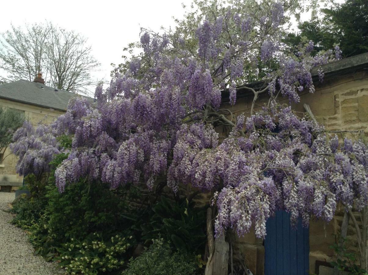 Bed and Breakfast Pegasus Blainville-sur-Orne Exterior foto